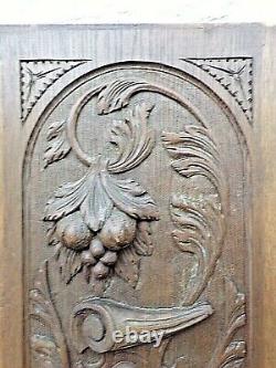 Ancien panneau de porte-Corne d'abondance-bois sculpté massif- carved wood